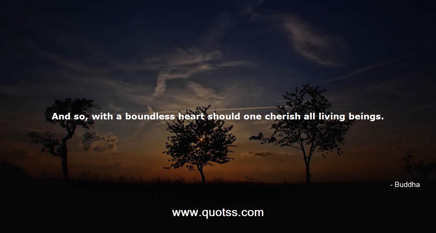 Buddha Quote on Quotss