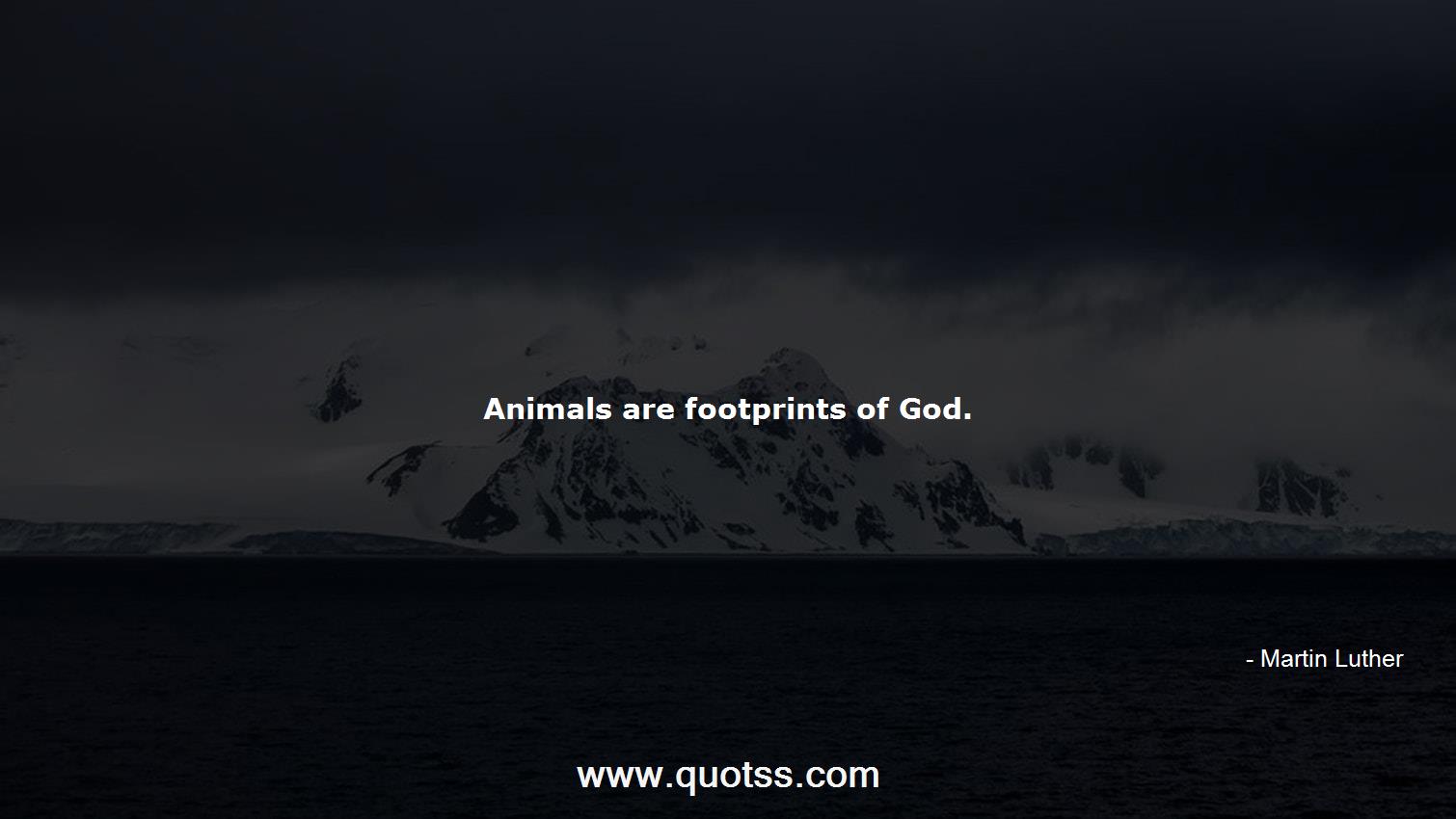 Animals are footprints of  Luther | Martin Luther Quotes