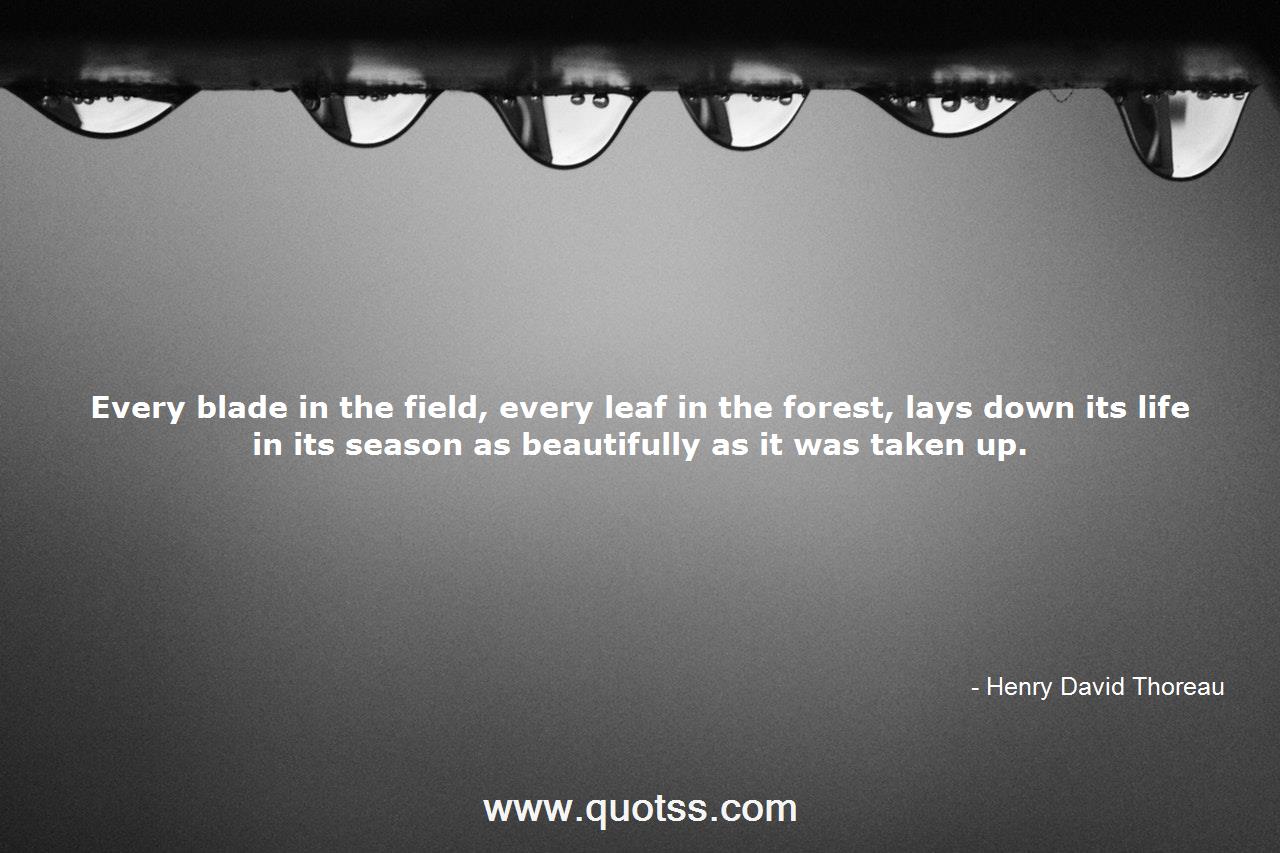 Henry David Thoreau Quote on Quotss