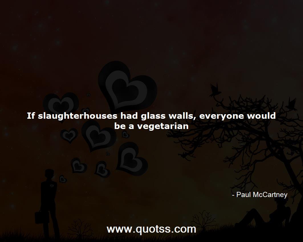 Paul McCartney Quote on Quotss