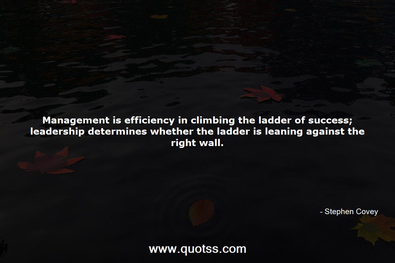 Stephen Covey Quote on Quotss