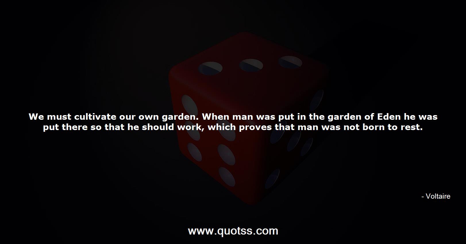We Must Cultivate Our Own Garden When Man Was Put In The Garden